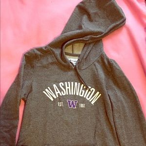 Dark Gray University of Washington Hoodie!